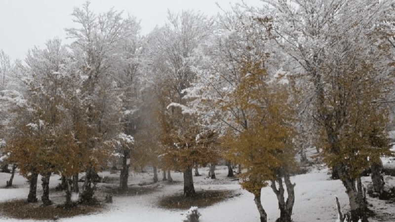 اولین برف پاییزی ۴ استان ایران را سفیدپوش کرد